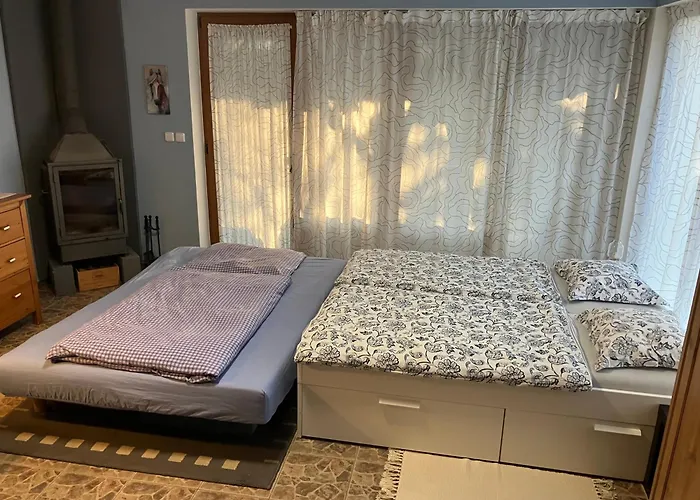 Appartamento Gardenhouse Zelezna